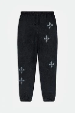 ELEVEN PARIS Montaigne Noir Délavé